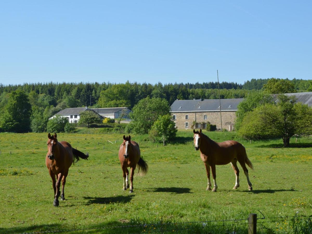 Leuk Huis Met Zwembad Cetturu Quarto foto